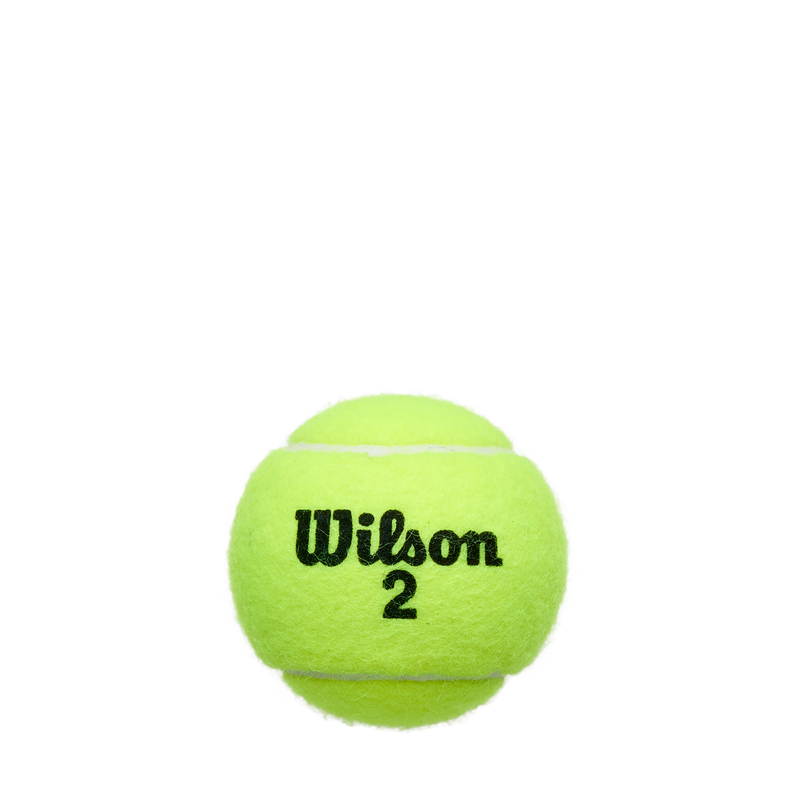 Pelota de Tennis Championship Extra Duty