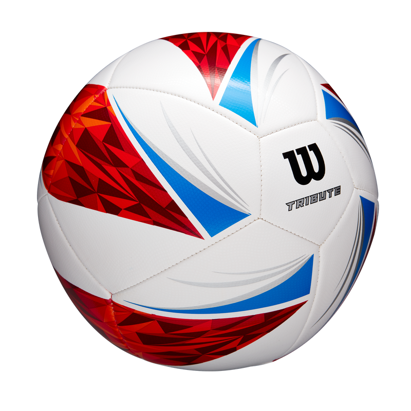 Balón de Fútbol Tribute SB #5
