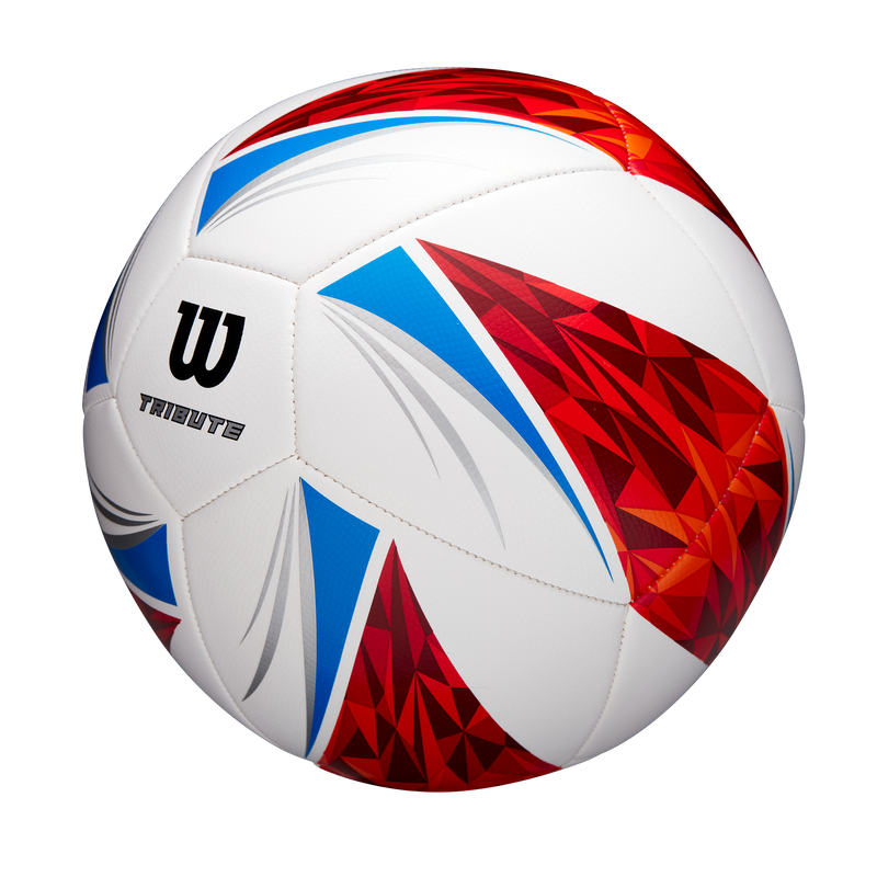 Balón de Fútbol Tribute SB #5