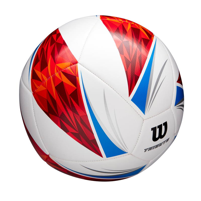 Balón de Fútbol Tribute SB #5