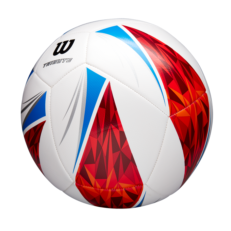 Balón de Fútbol Tribute SB #5