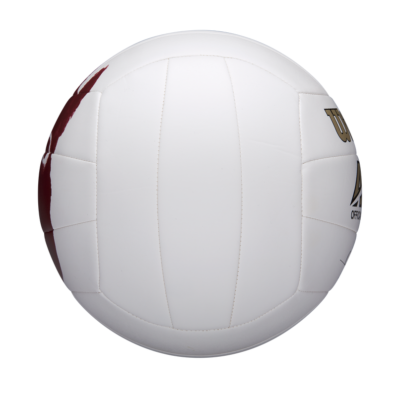 Balón de Volleyball Castaway