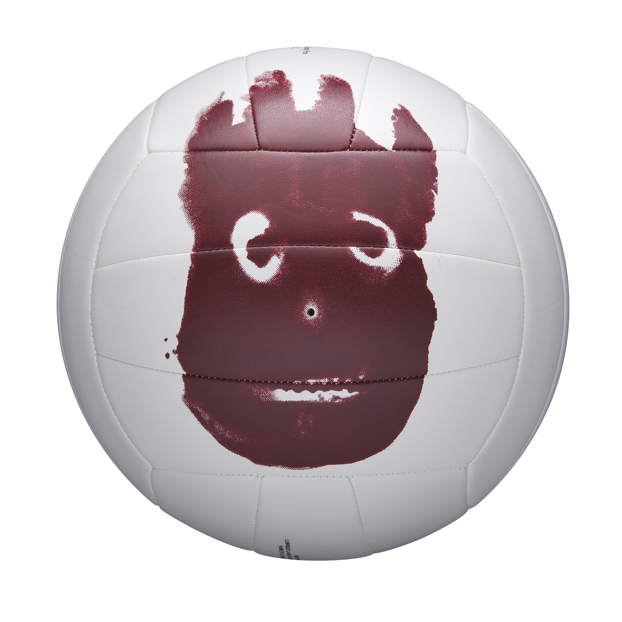 Balón de Volleyball Castaway